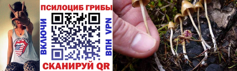 наркошоп  Алдан  Галлюциногенные грибы прущие грибы 